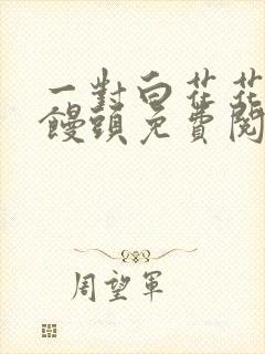 一对白花花的大馒头免费阅读