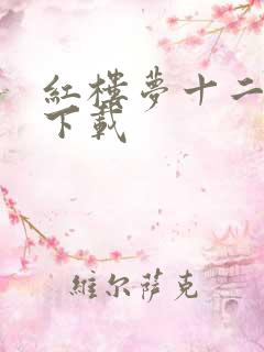 红楼梦十二金钗下载