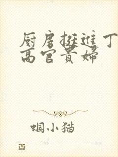 厨房挺进丁字裤高官贵妇