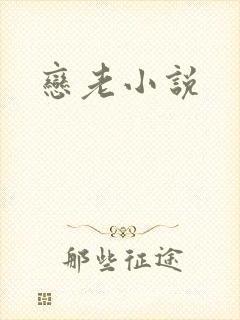 恋老小说