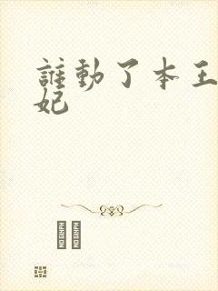 谁动了本王的悍妃