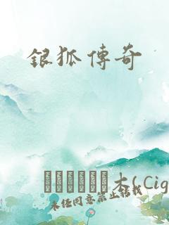 银狐传奇