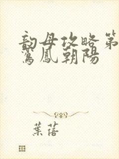 韵母攻略第二部鸾凤朝阳