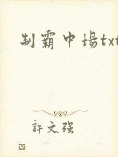 制霸中场txt
