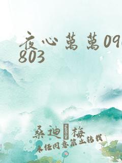 夜心万万090803