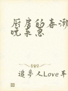 厨房的春潮带雨晚来急