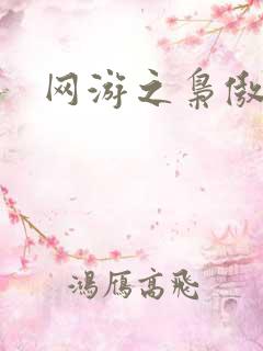 网游之枭傲天下