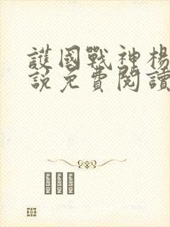 护国战神杨风小说免费阅读