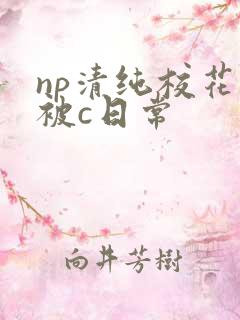 np清纯校花的被c日常