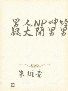 男人NP呻吟双腿大开男男小说