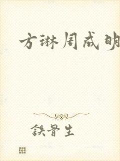方琳周成明小说