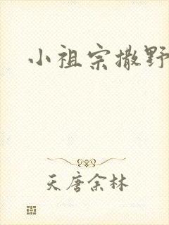 小祖宗撒野