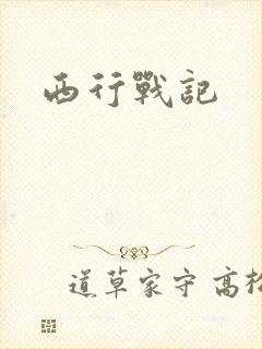 西行战记