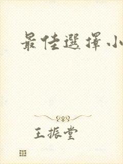 最佳选择小说