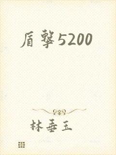 盾击5200