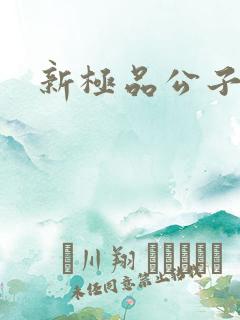 新极品公子