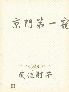 京门第一宠
