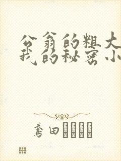 公翁的粗大放进我的秘密小说