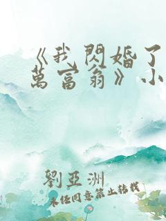 《我闪婚了个亿万富翁》小说