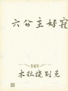 六公主好宠