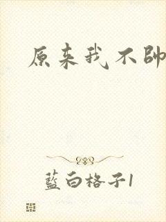 原来我不帅小说