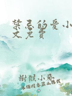 禁忌的爱小说全文免费