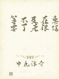 等不及在车里就要了老狼信息