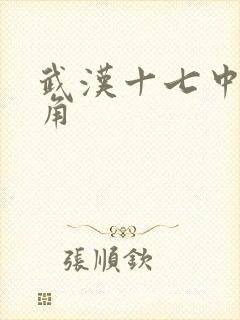 武汉十七中女主角