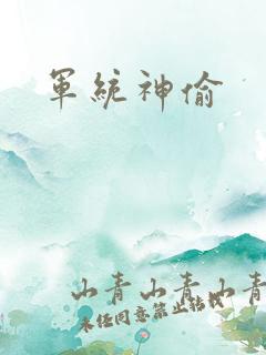 军统神偷