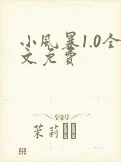 小风暴1.0全文免费