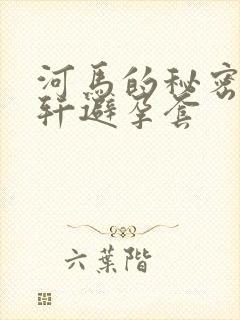 河马的秘密河文轩避孕套