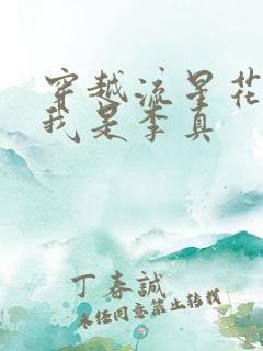 穿越流星花园之我是李真