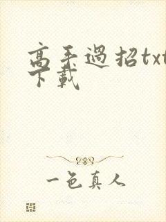 高手过招txt下载