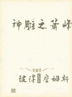 神雕之萧峰后人