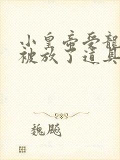 小皇帝受龙椅上被放了道具