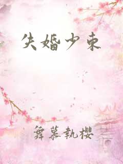 失婚少东