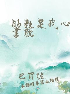 助教是我心尖宠书耽