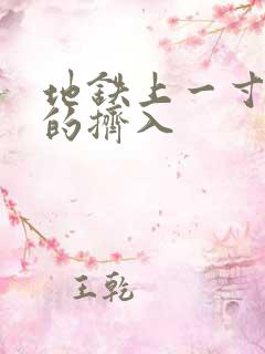 地铁上一寸一寸的挤入