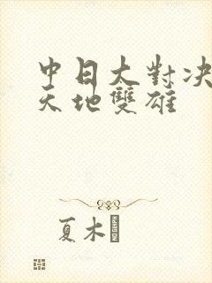 中日大对决 天地双雄