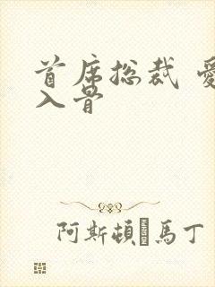 首席总裁 爱你入骨