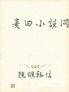 麦田小说网