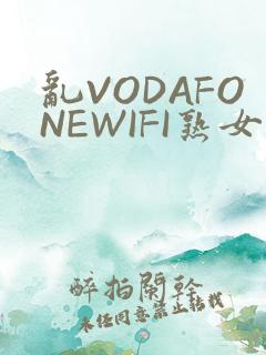 乱VODAFONEWIFI熟女