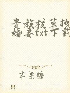 贵族校草拽拽未婚妻txt下载