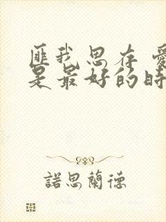 匪我思存 爱你是最好的时光