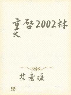 重启2002林天