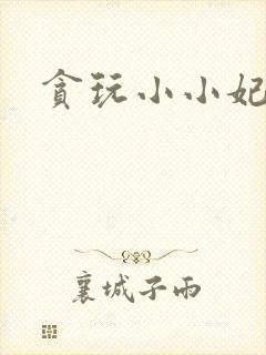 贪玩小小妃