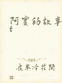 阿宾的故事txt