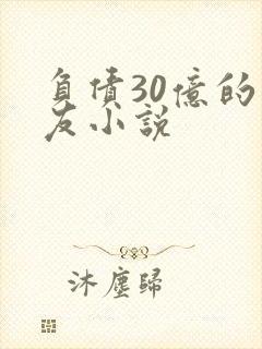 负债30亿的男友小说