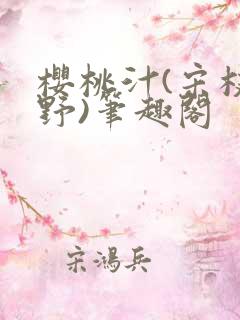 樱桃汁(宋枝江野)笔趣阁