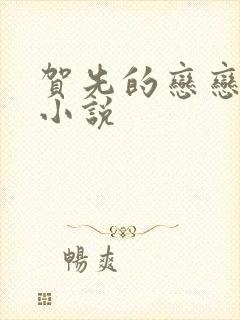 贺先的恋恋不忘小说